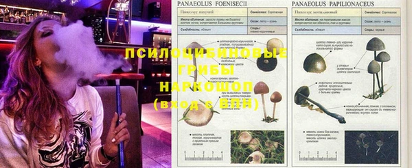 бутират Балахна
