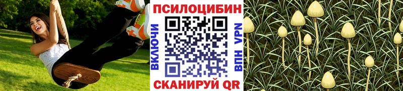 Галлюциногенные грибы мухоморы  Кунгур 